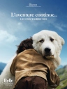 灵犬雪莉：冒险再出发 Belle et Sébastien : l'aventure continue 【2015】【剧情 / 冒险】【法国】