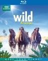BBC：狂野阿拉伯 Wild Arabia 【2013】【纪录片】【英国】