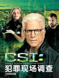 犯罪现场调查 第十季 蓝光版