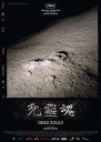 死灵魂 【WEB-DL720p国语中字】【2018】【纪录片】【中国大陆/法国/瑞士】