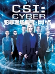 犯罪现场调查：网络 第2季第16集 初校-特效版