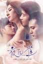 夜孔雀 【2015】【剧情 / 爱情】【中国大陆 / 法国】
